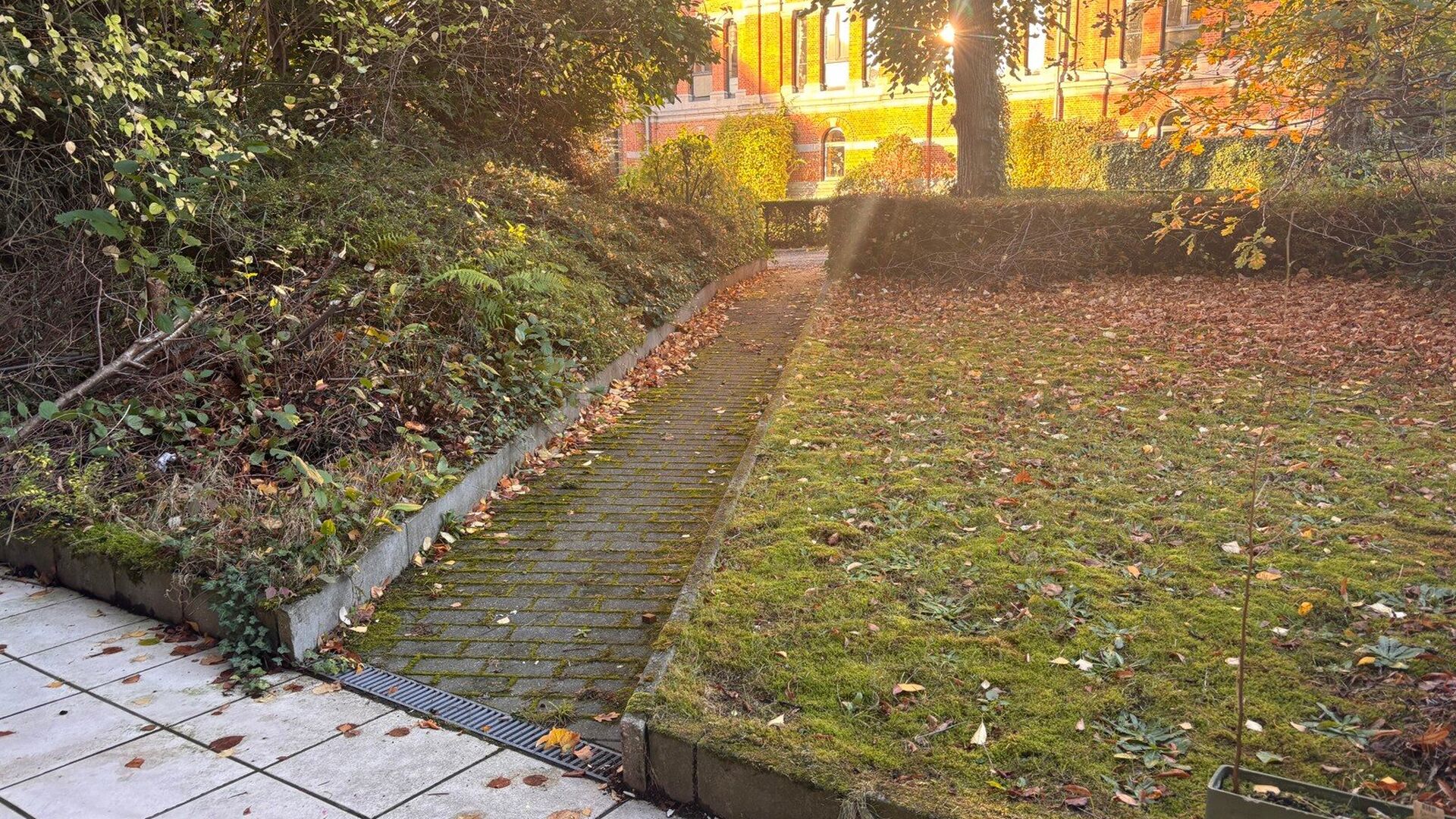 Appartement met tuin te huur in Leuven