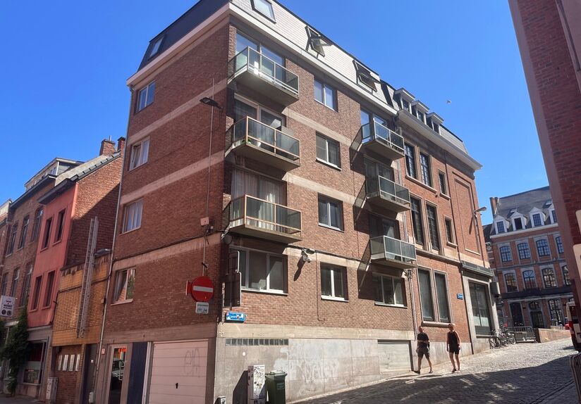 ONLY FOR STUDENTS: Cool bright studio, in Paris Street, on the corner with side street of Old Market. The studio has a sleeping area, desk, and equipped kitchen. Bathroom with shower, sink and toilet. 2 Large velux windows bathe the studio in light.
Imme